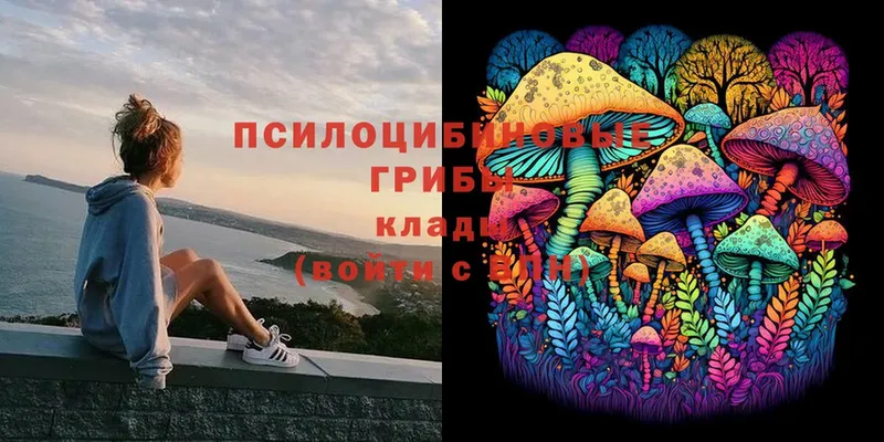 Галлюциногенные грибы Cubensis  omg маркетплейс  Кодинск 